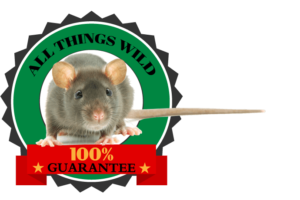 Greenville Wildlife Removal